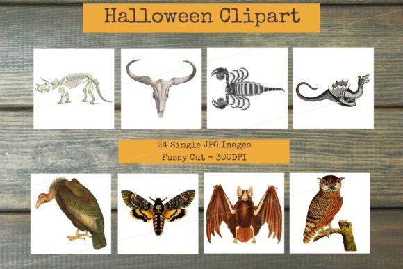 Download Mixed Images - Vintage Halloween Clipart - Clipart Collection