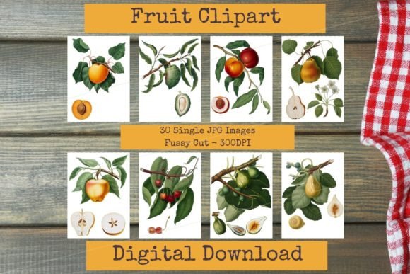 Download Mixed Fruits - Vintage Botanical Clipart - Clipart Collection