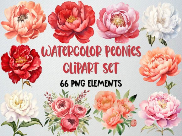 Download Watercolor Peonies Clipart, Floral Png - Clipart Collection